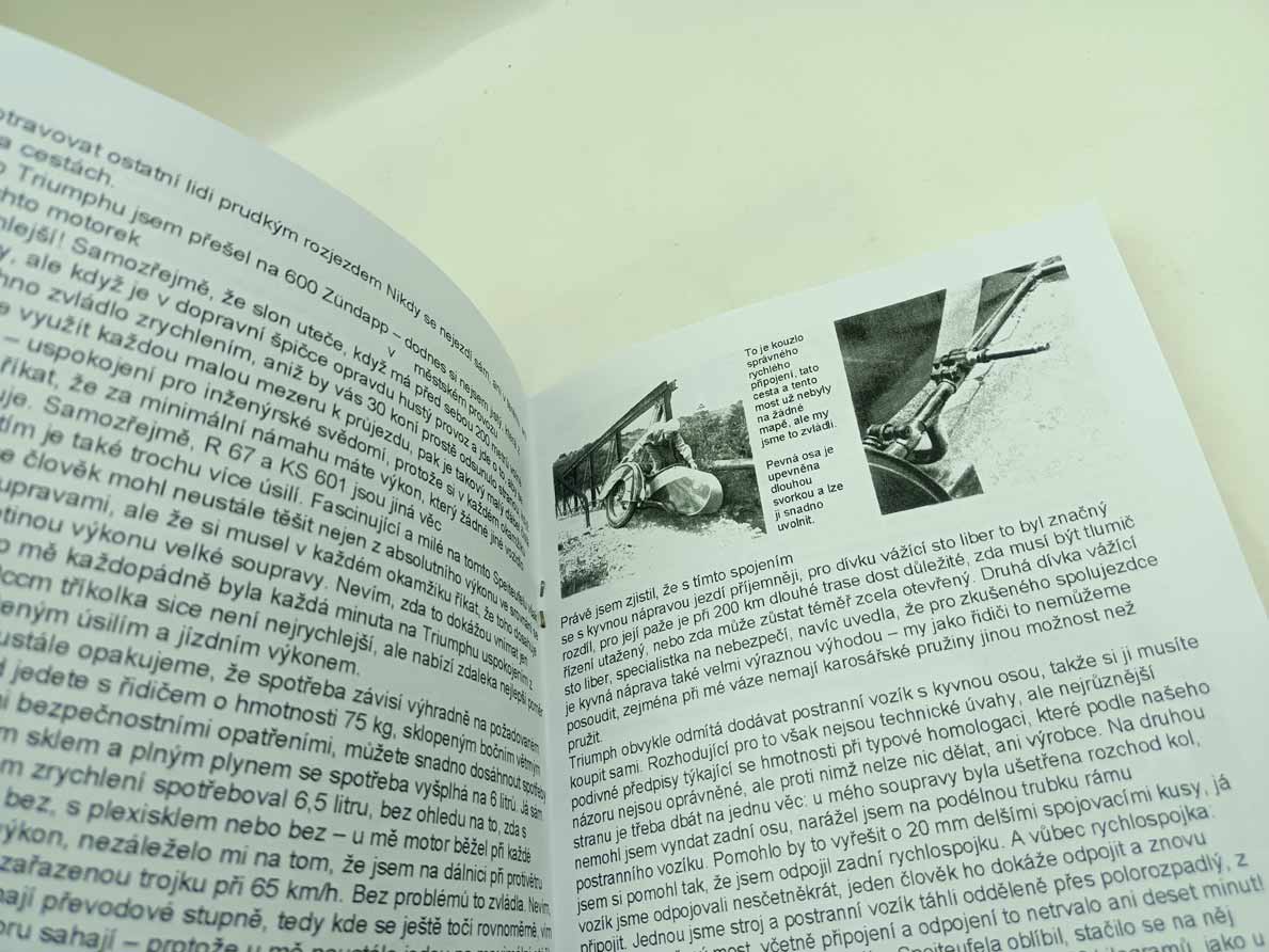 Triumph BDG 250 Gespan - reprint. - Image 2